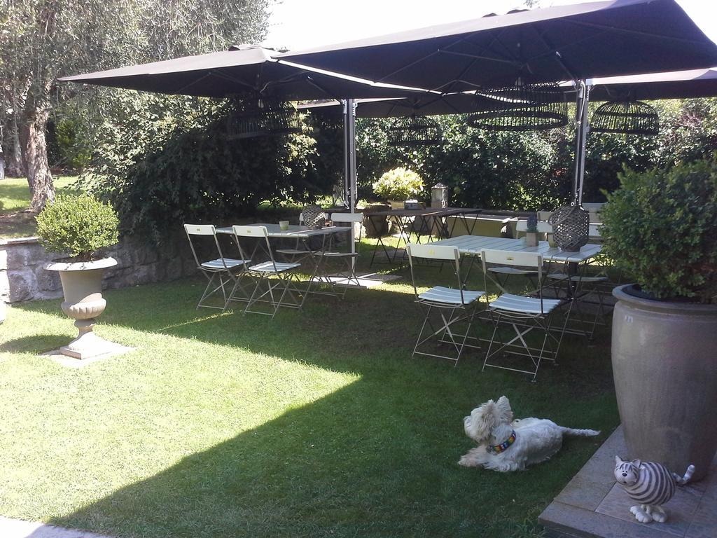 Residenza Teodorico Re B&B Viterbo Buitenkant foto
